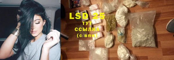 крисы Балахна