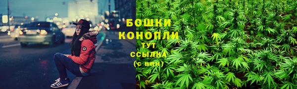 крисы Балахна