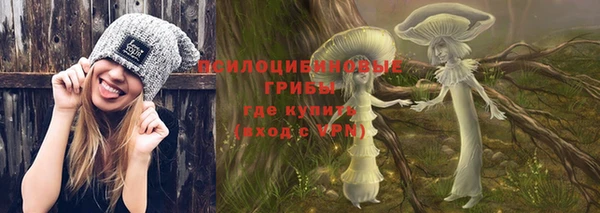 крисы Балахна